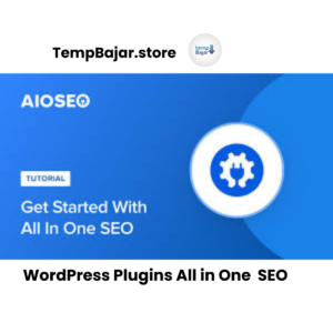 All in One SEO Plugin